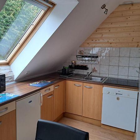 Apartment Erika Fužine Eksteriør billede