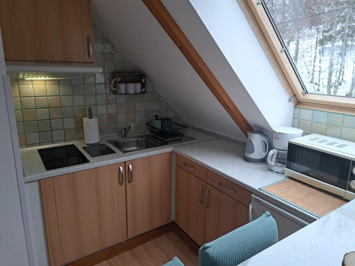 Apartment Erika Fužine Eksteriør billede