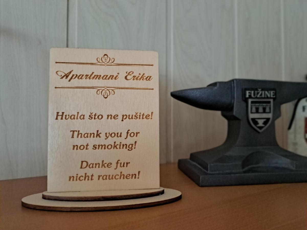 Apartment Erika Fužine Eksteriør billede