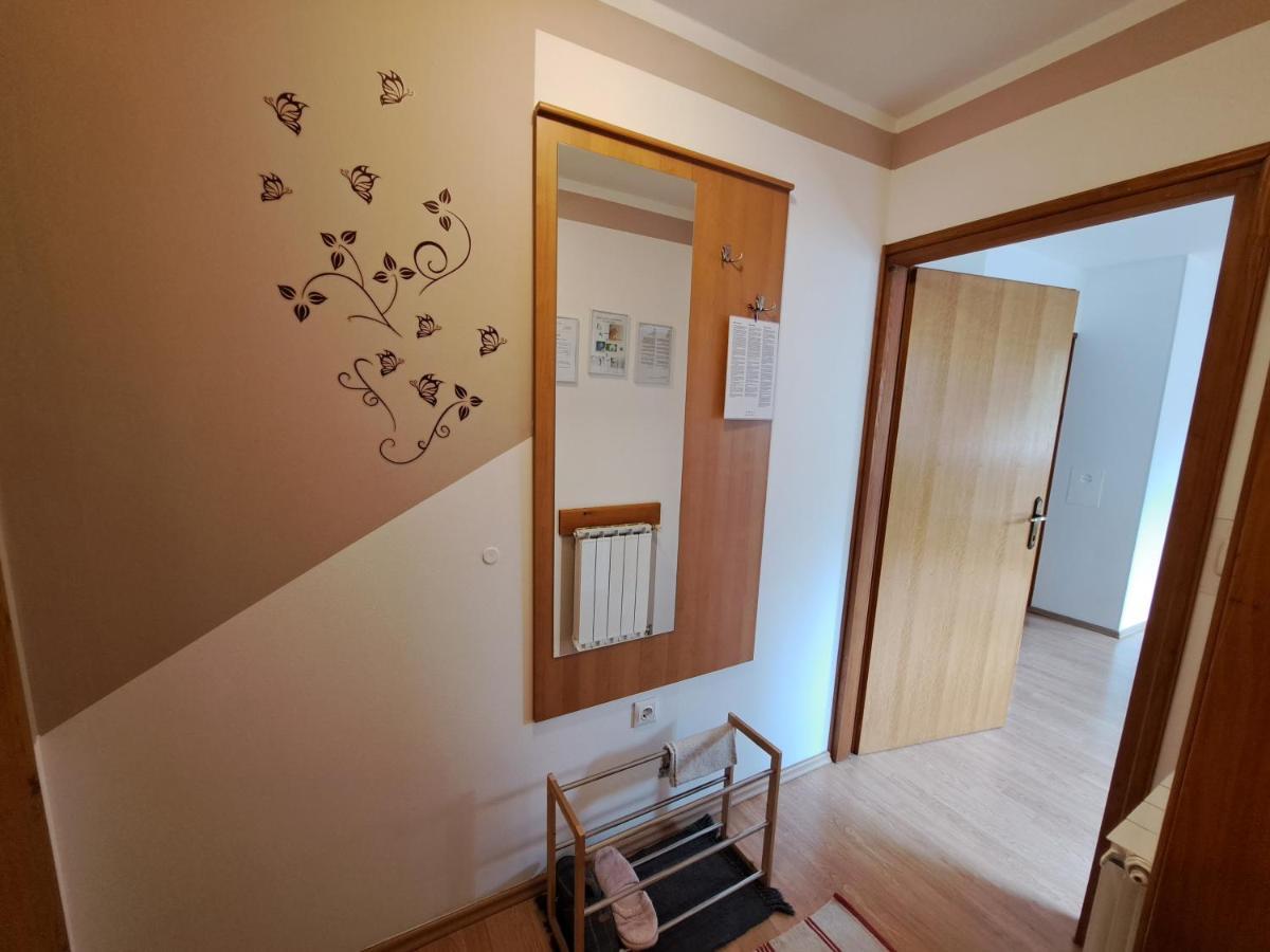 Apartment Erika Fužine Eksteriør billede